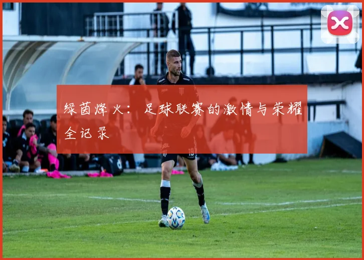 绿茵烽火：足球联赛的激情与荣耀全记录