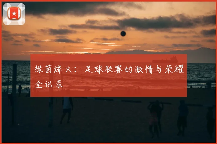 绿茵烽火:足球联赛的激情与荣耀全记录